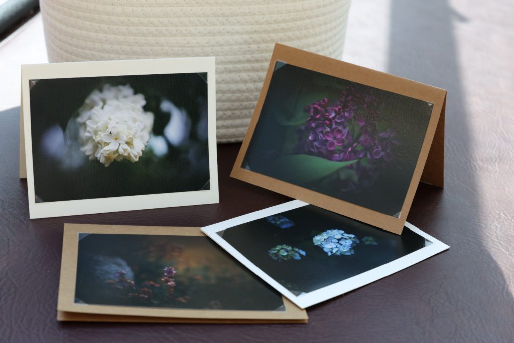 4 Pk Photo Greeting Cards - Floral Bundle #2