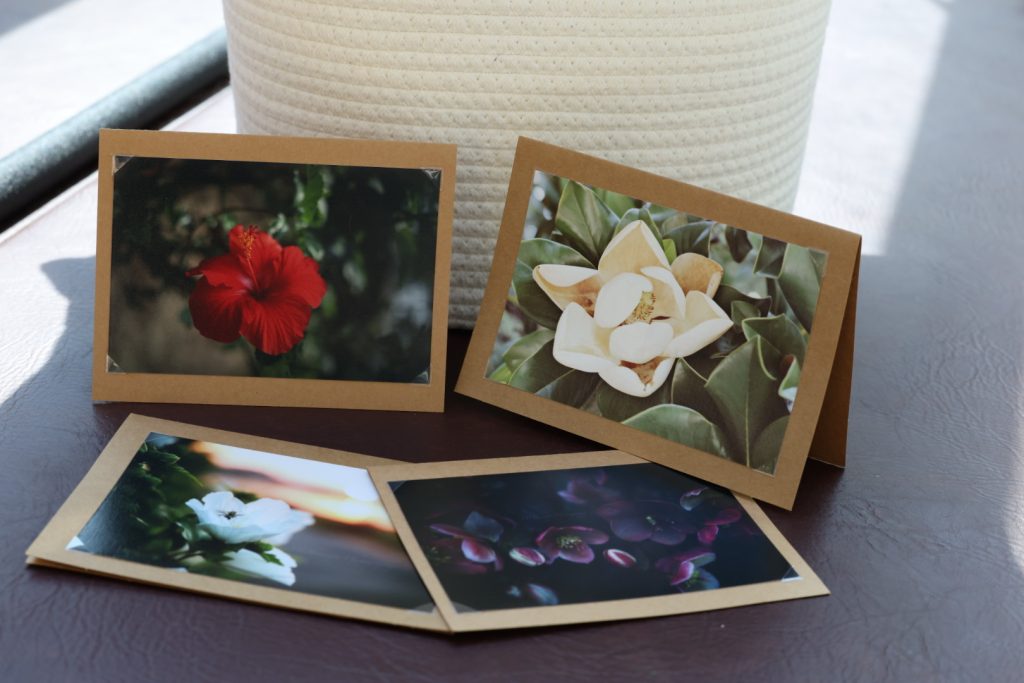 4 Pk Photo Greeting Cards - Floral Bundle #1